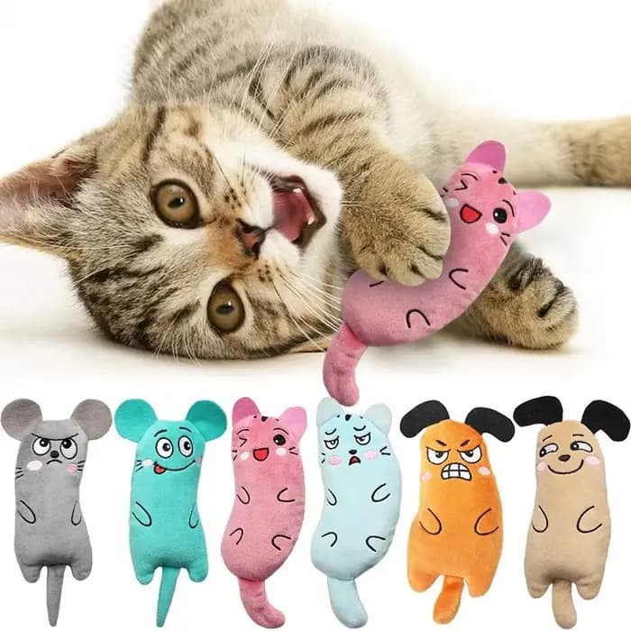 Griffes pouce morsure chat menthe pour chats chaton chaud jouet à mâcher drôle mignon en peluche