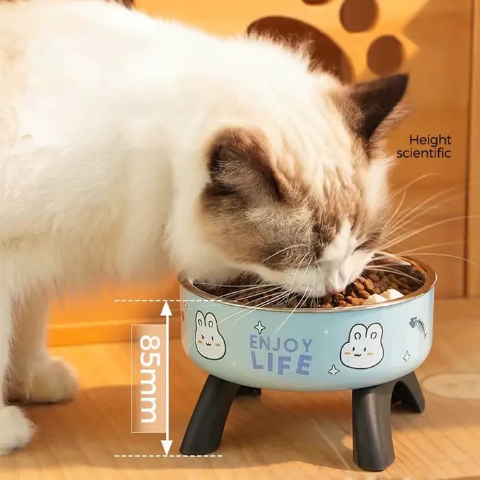 Bol de nourriture surélevé pour animaux de compagnie