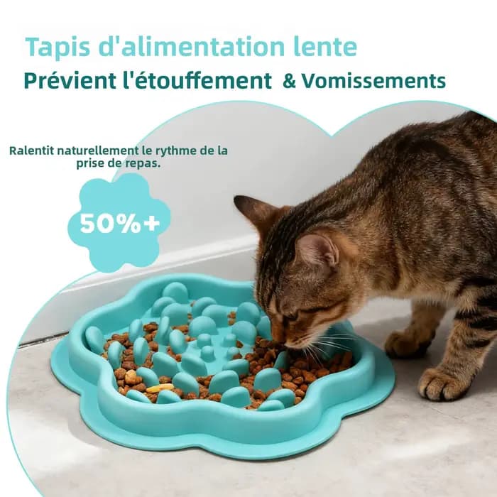 Bol de glouton pour chat et chien