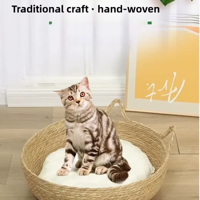 Panier-lit pour chat en rotin tressé d'été avec coussin moelleux