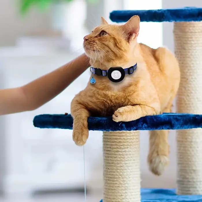 Collier Anti-Perte pour Chat avec Traqueur GPS