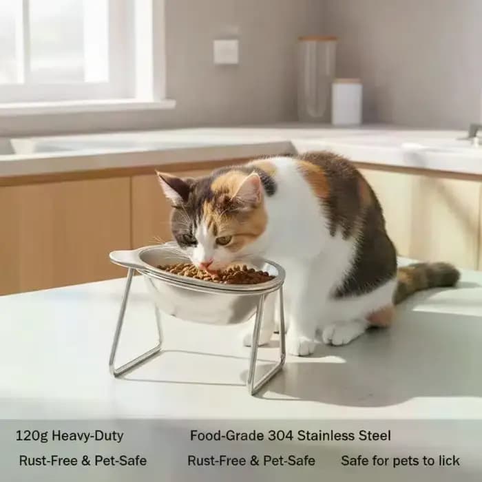 Gamelles pour animaux de compagnie en acier inoxydable pour chats et chiens