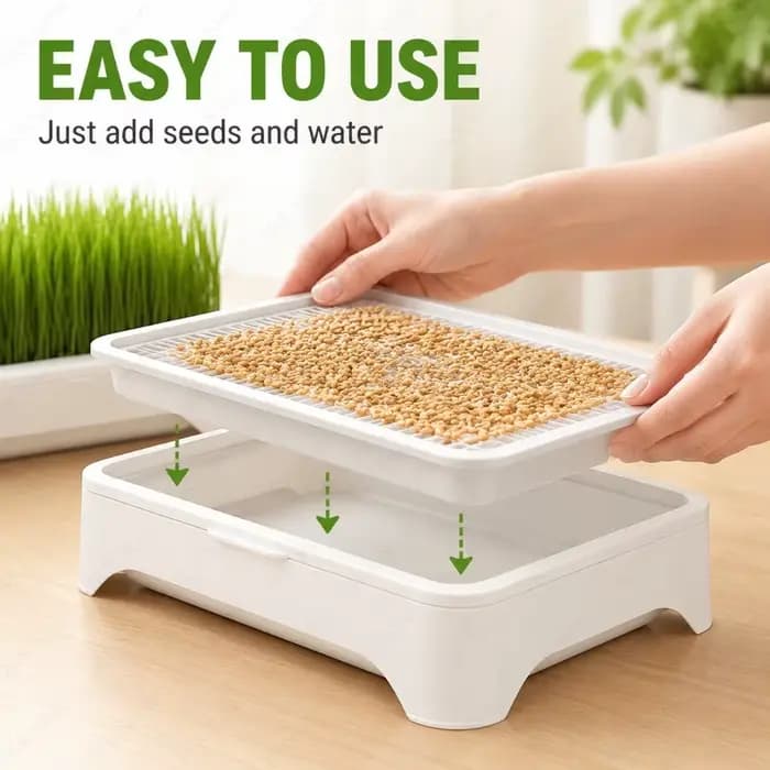 Kit de plantation hydroponique sans terre pour herbe à chat