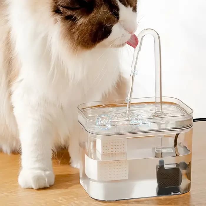 Fontaine à boire transparente pour chat