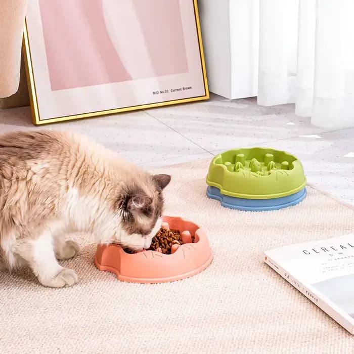 Gamelle anti-étouffement et anti-renversement pour chien et chat
