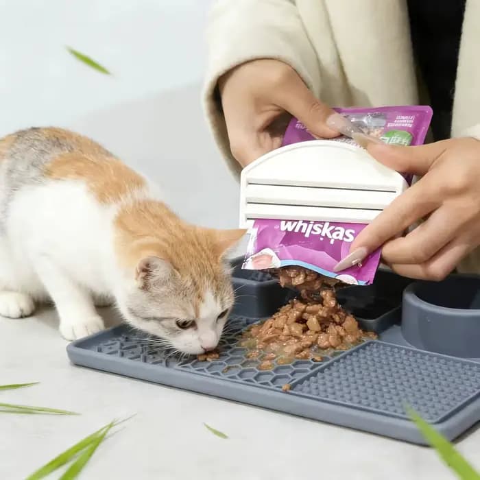 Distributeur de nourriture pour chats | Grattoir en plastique