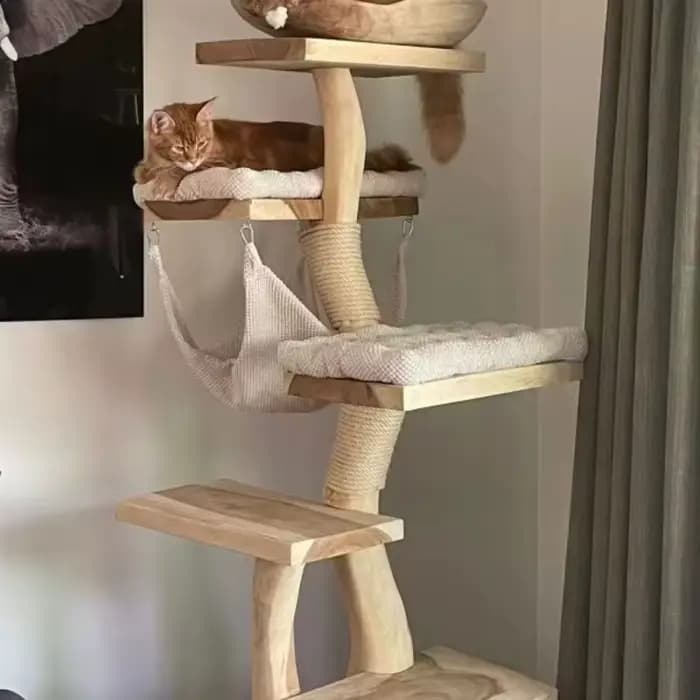Arbre à chat en bois d'intérieur moderne de haute qualité
