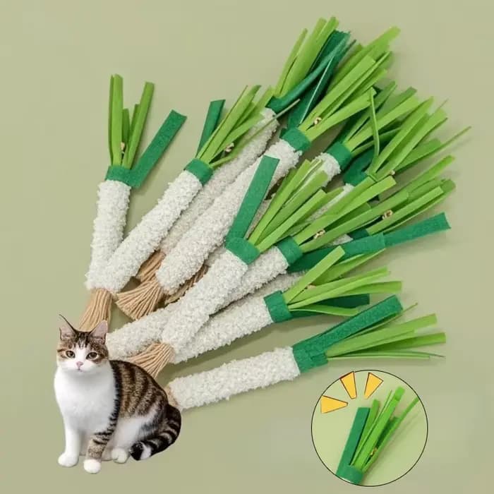 Jouet Teaser pour chat