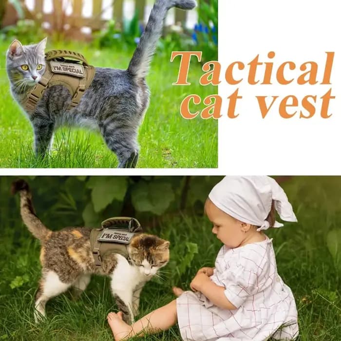 Harnais tactique pour chat