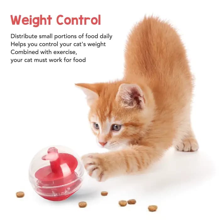Boule de puzzle interactive pour chat