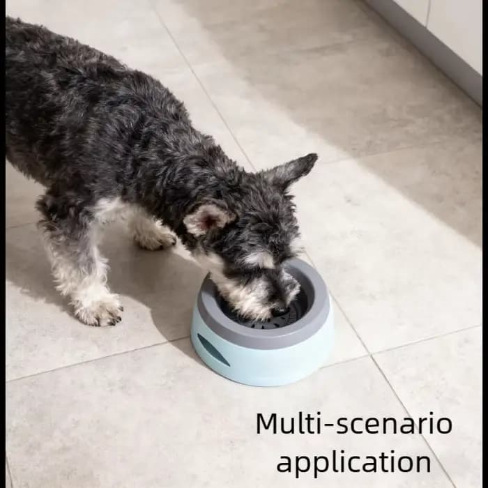 Bols flottants pour chiens et chats