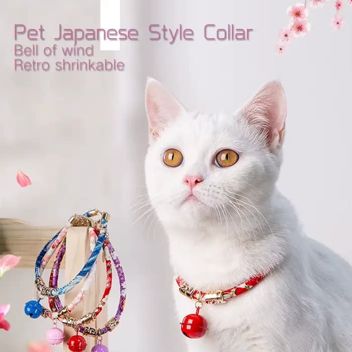 Colliers décoratifs pour animaux de compagnie