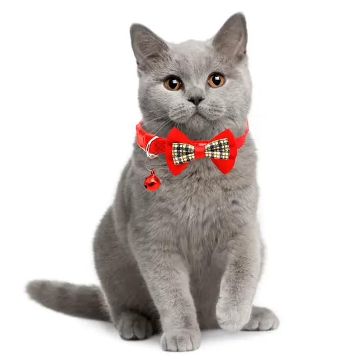 Pet Collar with Bell Cats Checked Bow Adjustable Buckle Neck Strap Puppy Dog