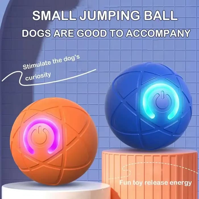 Balle de jouet pour chien