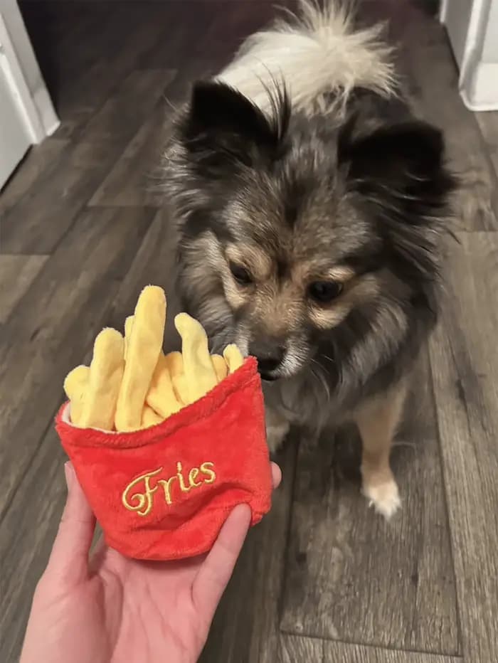 1 jouet en peluche pour animaux de compagnie en forme de frites