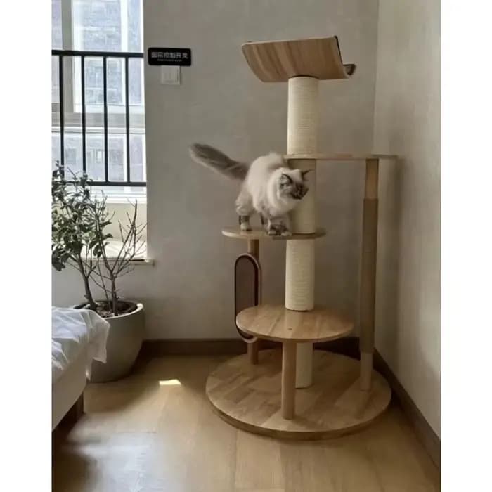 Arbre à chat d'intérieur moderne de luxe en bois courbé avec sisal durable