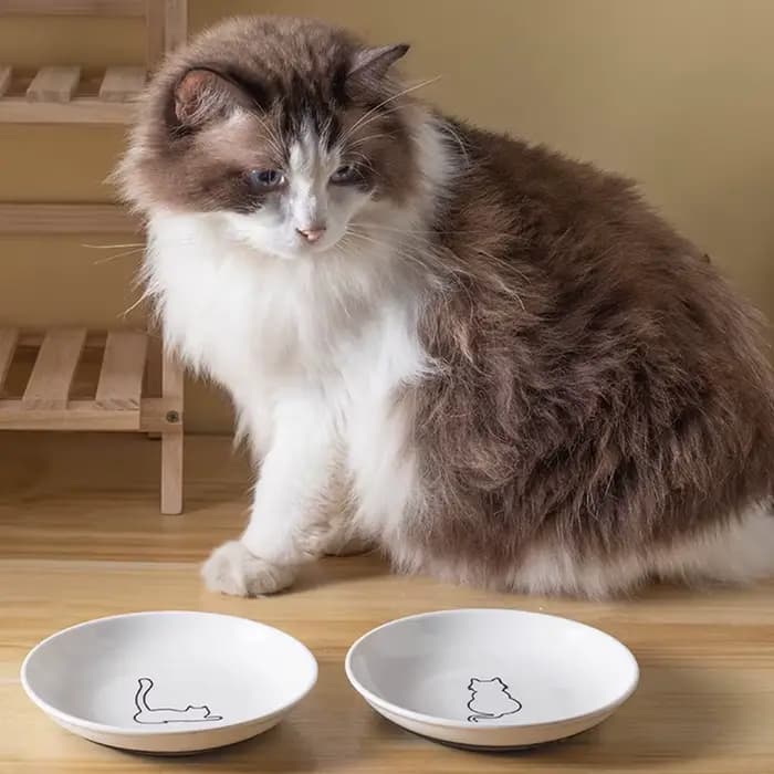 Gamelle en céramique pour chatons ; Assiette antidérapante pour chat ; Support en silicone ; Essentiels charmants pour animaux de compagnie