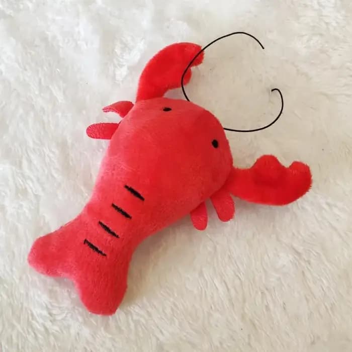 Jouets en peluche pour chiens
