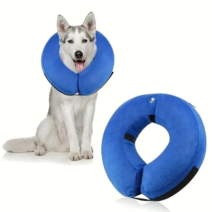 Collier gonflable pour chiens et chats