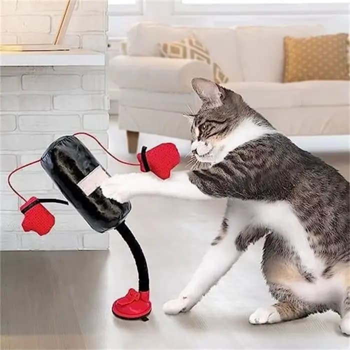 Nouveau dessin animé chat sac de boxe jouet intérieur pour ennuyé