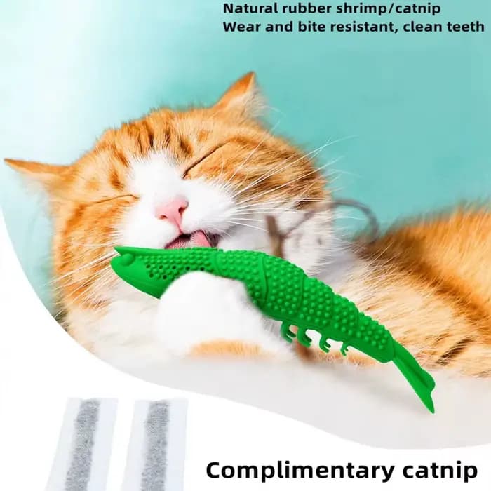 Brosse à dents en caoutchouc pour chat