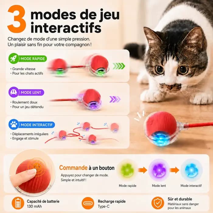 Nouveau jouet interactif de balle de chat
