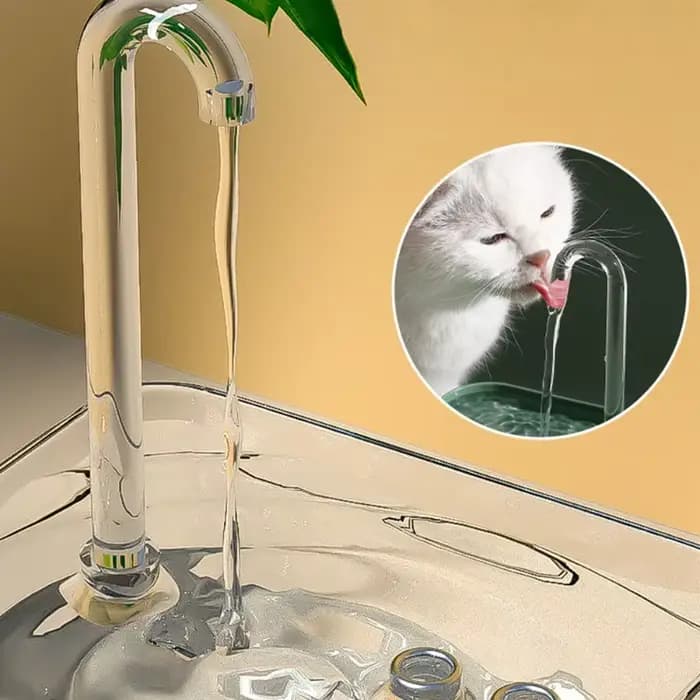 Fontaine à eau pour chat