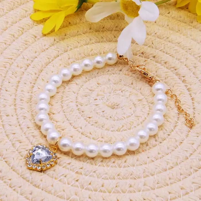 Nouveau collier décoratif pour chat