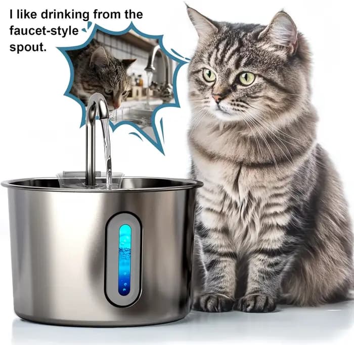 Fontaine d'eau en acier inoxydable pour chat et chien