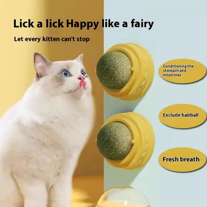 Boule d'herbe à chat, jouet pour chat