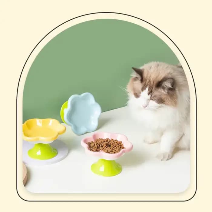 Filles en céramique suréWerpour chat