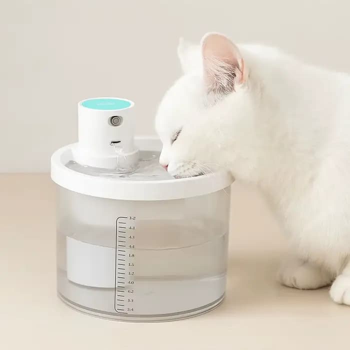 Fontaine d'eau pour animaux de compagnie
