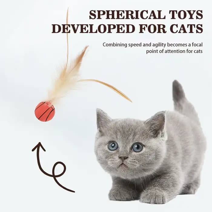 Balle interactive auto-amusante pour chat, balle rebondissante en plumes d'intérieur, balle de flutter pour animaux de compagnie à rebond élevé, accessoires pour animaux de compagnie