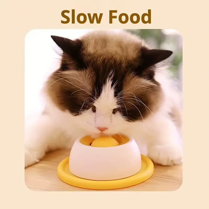 1 pièce - Assiette ludique pour lécher pour animaux de compagnie | Aliment humide au yaourt