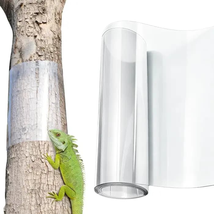 Film protecteur transparent anti-escalade pour arbres