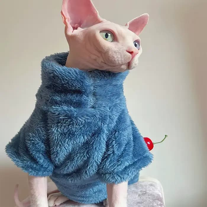 Pull pour chat de compagnie