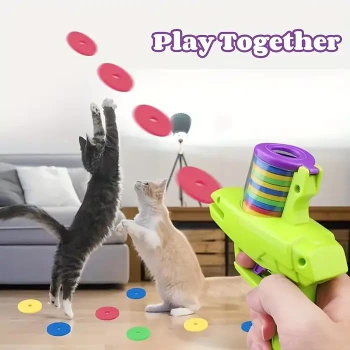 Jouet pour chien et chat avec jeu de disques volants colorés, lanceur de pistolet jouet pour animaux de compagnie, jouets interactifs pour chaton, entraînement intérieur et extérieur