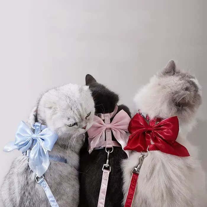 Ensemble Harnais et Laisse pour Chat avec Grand Nœud