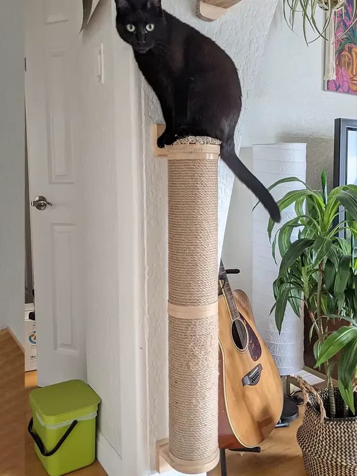 Poteau à gratter pour chat