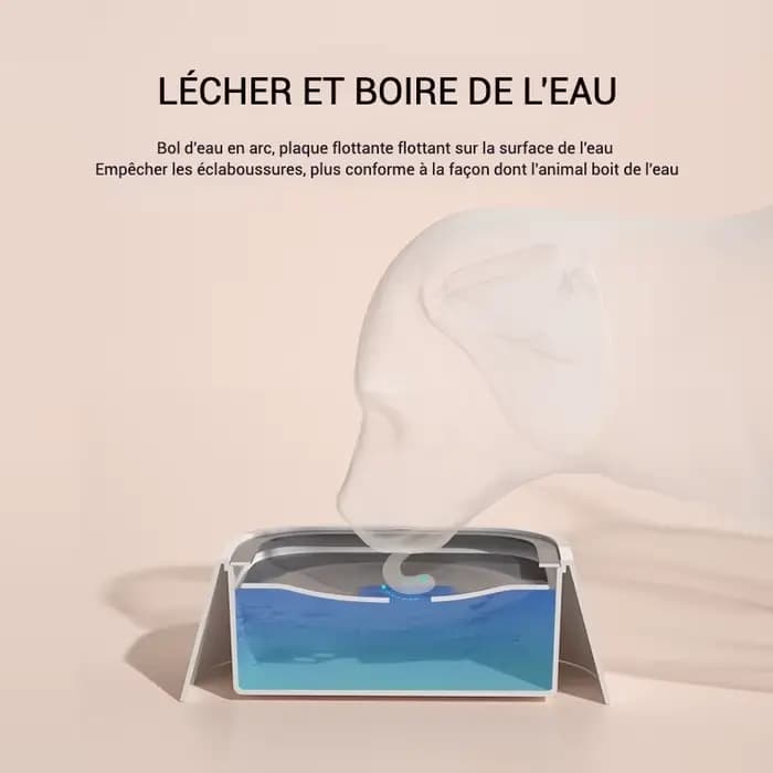 Bol d'eau pour chien, sans déversement