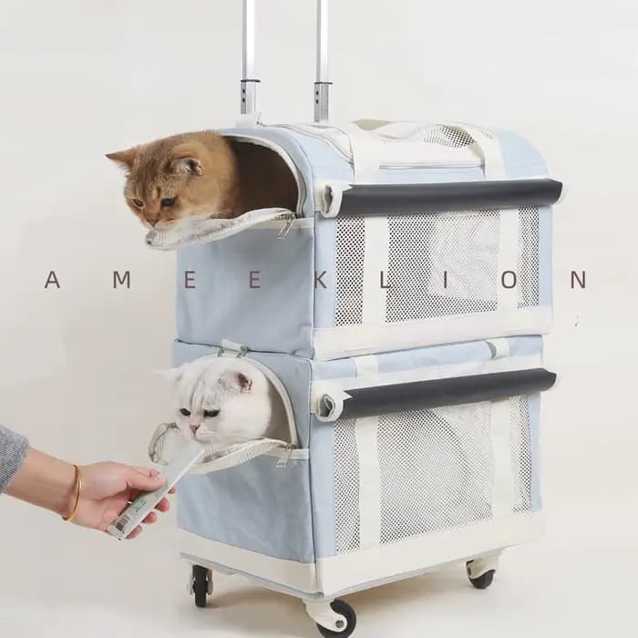 Sac de transport portable double couche pour animaux de compagnie, respirant, pour chat et chien, avec grande capacité, idéal pour les voyages et les sorties en extérieur
