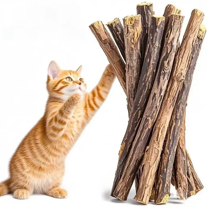 Fournitures pour chaton à mâcher à base de plantes naturelles pour chat