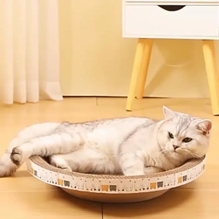 Gratte-chat ondulé grattoirs pour chat rond ovale meulage griffe jouets pour chats résistant à l'usure lit pour chat nid chat accessoires