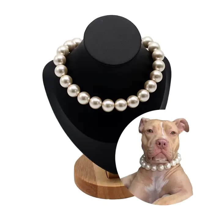 Colliers de perles pour chiens et chats de grande taille