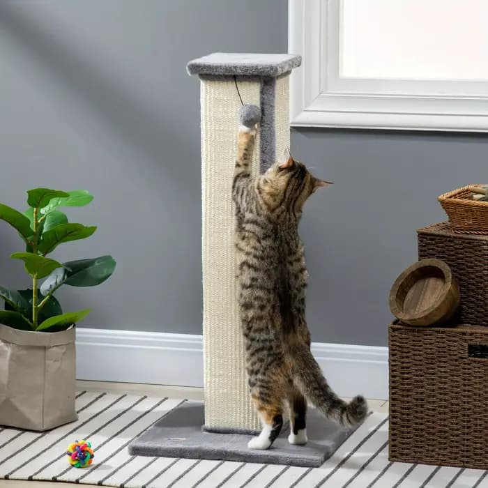 Poste à gratter en Sisal pour chat de 32 pouces de haut