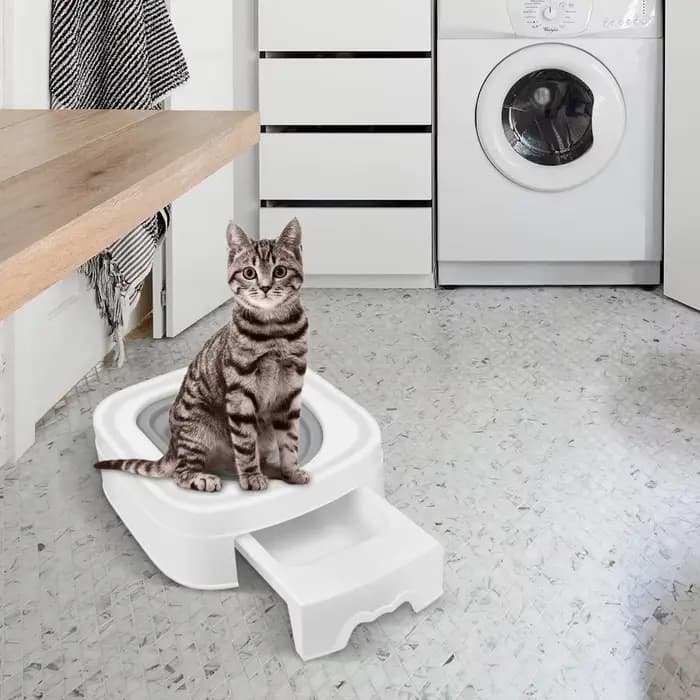 Toilette pour chat sans dégâts