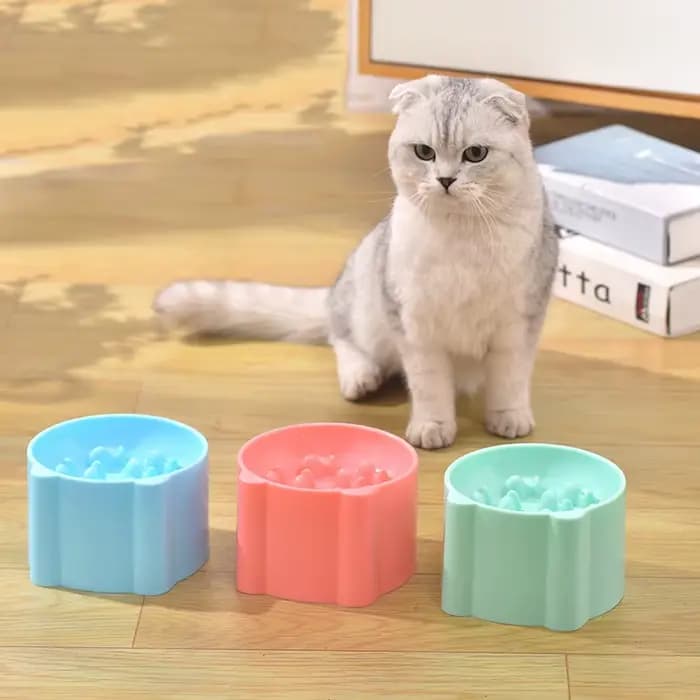 Bol pour animaux de compagnie chats et chiens sains étouffement et bols à alimentation lente pieds hauts protection du