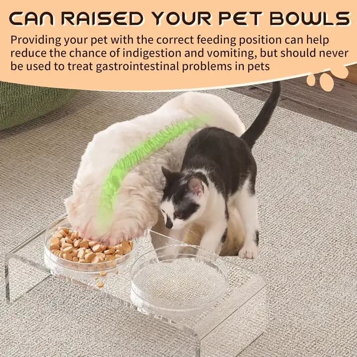 Support de gamelle pour animaux de compagnie