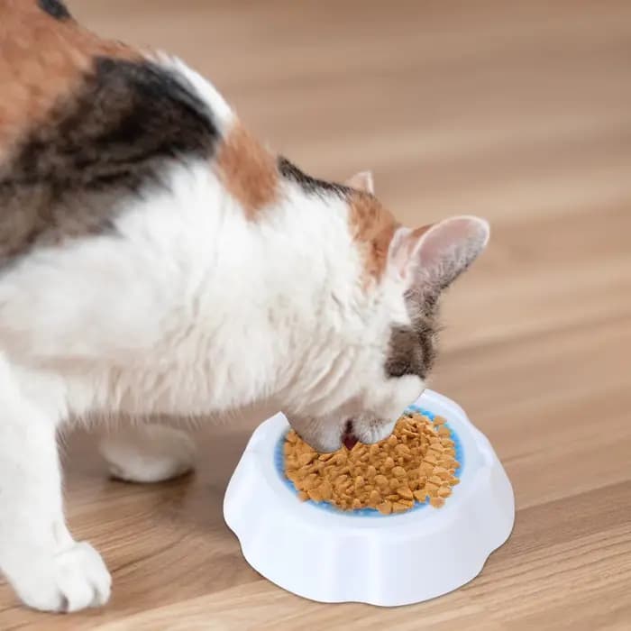 Gamelle rafraîchissante pour animaux – Bol d'eau glacée en gel pour chien et chat
