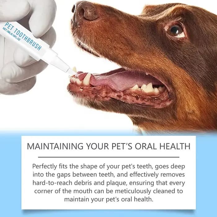 Brosse à Dents pour Animaux de Compagnie